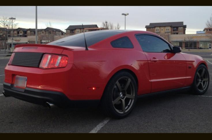 FORD MUSTANG PANORAMA RF MATTE BRONZE